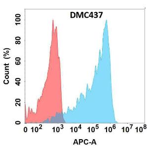 Flow cytometry analysis with Anti-M-CSF Chimeric Antibody [DMC437] - Azide free (A318741) on Expi293 cells transfected with human M-CSF (blue histogram) or Expi293 transfected with irrelevant protein (red histogram)