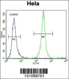 Anti-SRGN Rabbit Polyclonal Antibody (AP (Alkaline Phosphatase))