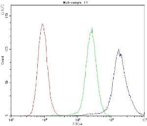 Anti-ABCB4/Mdr3 Polyclonal Antibody