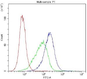 Anti-ABCB4/Mdr3 Polyclonal Antibody