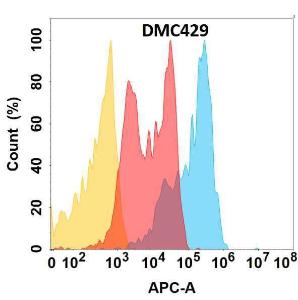 Anti-CD81 Chimeric Antibody [DMC429]