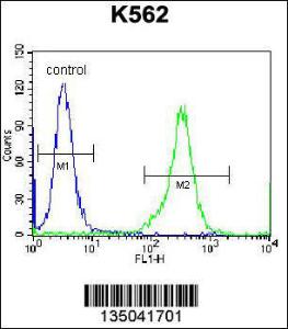 Anti-KEL Rabbit Polyclonal Antibody (AP (Alkaline Phosphatase))