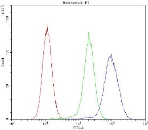 Anti-ABCB4/Mdr3 Polyclonal Antibody