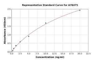 Representative standard curve for Mouse EGR2 ELISA kit (A76475)