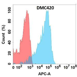 Flow cytometry analysis with Anti-Melanoma gp100 Chimeric Antibody [DMC420] - Azide free (A318752) on Expi293 cells transfected with human PMEL (blue histogram) or Expi293 transfected with irrelevant protein (red histogram)