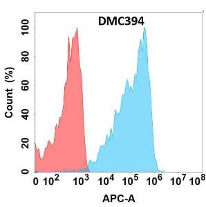 Anti-CLEC2D Chimeric antibody