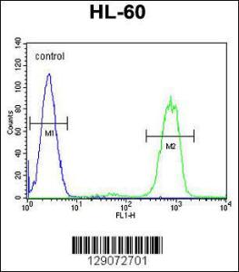 Anti-ANKRD40 Rabbit Polyclonal Antibody (Biotin)