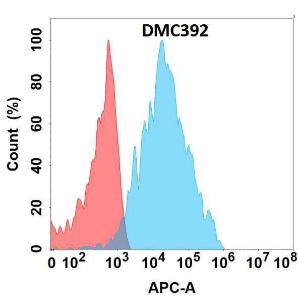 Flow cytometry analysis with Anti-B4GALT1 Chimeric Antibody [DMC392] - Azide free (A318756) on Expi293 cells transfected with human B4GALT1 (blue histogram) or Expi293 transfected with irrelevant protein (red histogram)