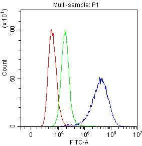 Anti-Mesothelin Polyclonal Antibody