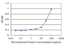 Anti-GTF2A1L Antibody Pair