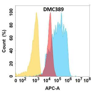 Flow cytometry analysis with Anti-Von Willebrand Factor Chimeric Antibody [DMC389]