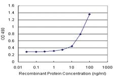 Anti-GTF2A1L Polyclonal Antibody Pair