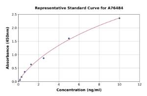 Representative standard curve for Mouse ENPP2 ml ATX ELISA kit (A76484)