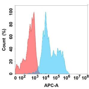 Flow cytometry analysis with Anti-EMR2 Chimeric Antibody [DMC370] - Azide free (A318763) on Expi293 cells transfected with human ADGRE2 (blue histogram) or Expi293 transfected with irrelevant protein (red histogram)