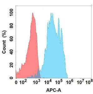 Anti-ErbB2/HER2 Chimeric antibody