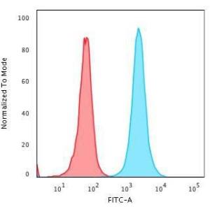 Flow cytometric analysis of PFA fixed HeLa cells using Anti-Nucleophosmin Antibody [rNPM1/1901] followed by Goat Anti-Mouse IgG (CF&#174; 488) (Blue). Isotype Control (Red).