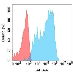 Flow cytometry analysis with Anti-ICAM1 Chimeric Antibody [DMC367] - Azide free (A318766) on Expi293 cells transfected with human ICAM1 (blue histogram) or Expi293 transfected with irrelevant protein (red histogram)