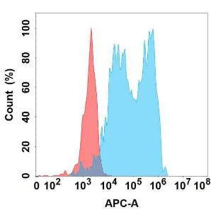 Anti-Complement Factor B Recombinant Recombinant Antibody [clone: DMC366]