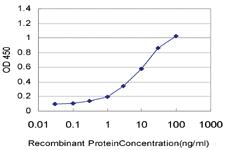 Anti-UBE2D1 Mouse Monoclonal Antibody [clone: 2C6]