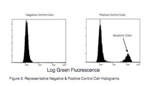 Anti-BrdU Mouse Monoclonal Antibody (FITC) [clone: PRB-1]