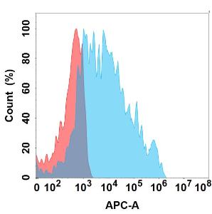 Flow cytometry analysis with Anti-NKG2A Chimeric Antibody [DMC298] - Azide free (A318769) on Expi293 cells transfected with human NKG2A (blue histogram) or Expi293 transfected with irrelevant protein (red histogram)