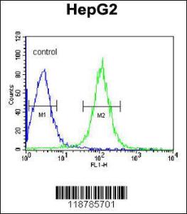 Anti-TMPRSS2 Rabbit Polyclonal Antibody