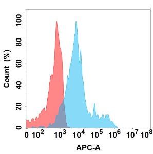 Flow cytometry analysis with Anti-CCR4 Chimeric Antibody [DMC297] - Azide free (A318770) on Expi293 cells transfected with human CCR4 (blue histogram) or Expi293 transfected with irrelevant protein (red histogram)