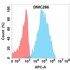 Flow cytometry analysis with Anti-CD84 Chimeric Antibody [DMC286] - Azide free (A318772) on Expi293 cells transfected with human SLAMF5 (blue histogram) or Expi293 transfected with irrelevant protein (red histogram)