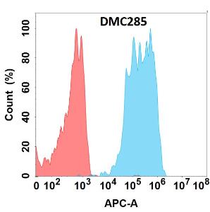 Flow cytometry analysis with Anti-CD96 Chimeric Antibody [DMC285] - Azide free (A318773) on Expi293 cells transfected with human CD96 (blue histogram) or Expi293 transfected with irrelevant protein (red histogram)