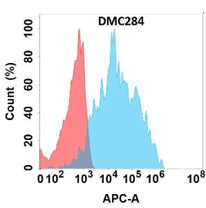 Anti-IL-4R Chimeric antibody