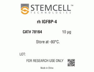 Human recombinant IGFBP-4