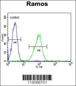 Anti-HIP1R Rabbit Polyclonal Antibody (APC (Allophycocyanin))