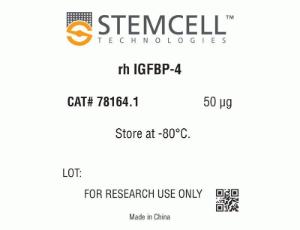 Human recombinant IGFBP-4