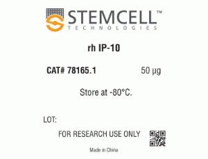 Human recombinant IP-10 (CXCL10)