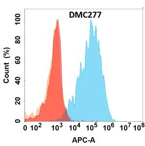 Flow cytometry analysis with Anti-Galectin 1 Chimeric Antibody [DMC277] - Azide free (A318781) on Expi293 cells transfected with human LGALS1 (blue histogram) or Expi293 transfected with irrelevant protein (red histogram)