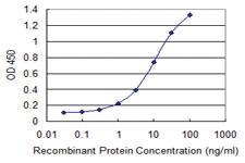 Anti-GNL3 Mouse Monoclonal Antibody [clone: 4B10]