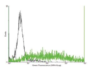 Anti-COLEC12 Mouse Polyclonal Antibody