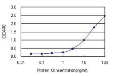 Anti-MS4A1 Antibody Pair