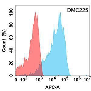 Flow cytometry analysis with Anti-IL-21R Chimeric Antibody [DMC225] - Azide free (A318792) on Expi293 cells transfected with human IL21R (blue histogram) or Expi293 transfected with irrelevant protein (red histogram)