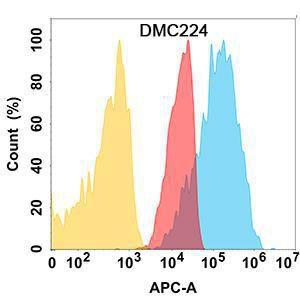 Anti-Nectin 2 Chimeric Antibody [DMC224]