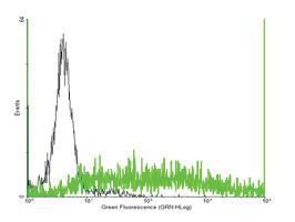 Anti-COLEC12 Mouse Polyclonal Antibody