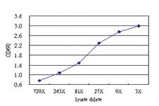 Anti-NOV Antibody Pair