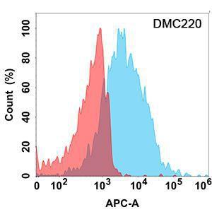 Anti-FCRL5 Recombinant Recombinant Antibody [clone: DMC220]