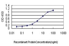 Anti-ADH4 Mouse Monoclonal Antibody [clone: 3C5]