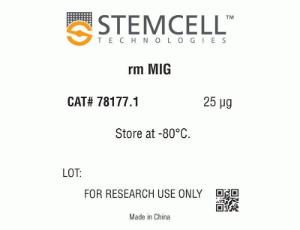 Mouse recombinant MIG (CXCL9)