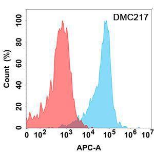 Flow cytometry analysis with Anti-CD24 Chimeric Antibody [DMC217] - Azide free (A318799) on Expi293 cells transfected with human CD24 (blue histogram) or Expi293 transfected with irrelevant protein (red histogram)