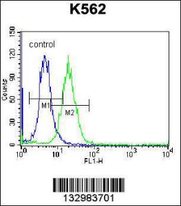 Anti-HIST1H2AB Rabbit Polyclonal Antibody (AP (Alkaline Phosphatase))