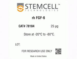 Human recombinant FGF-6