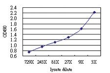 Anti-GRB7 Antibody Pair