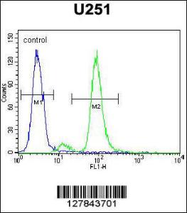 Anti-ZIK1 Rabbit Polyclonal Antibody (AP (Alkaline Phosphatase))